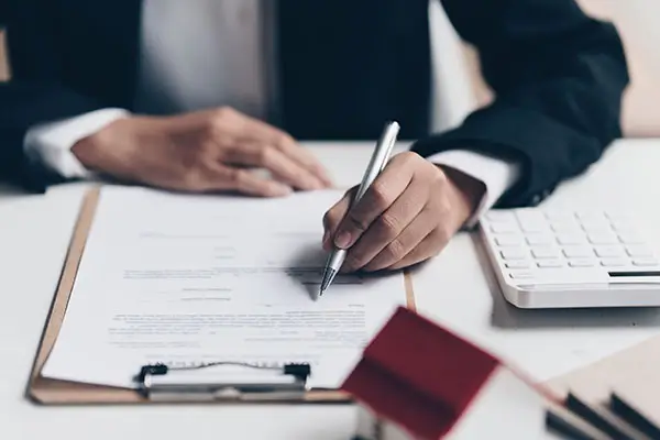 参股企业明细怎么查